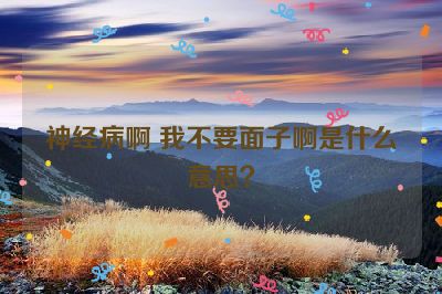 神经病啊 我不要面子啊是什么意思？
