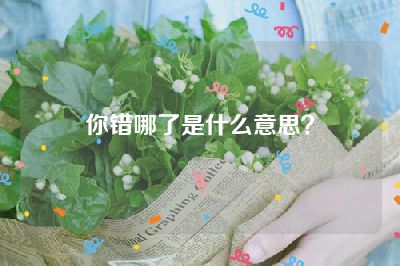 你错哪了是什么意思？