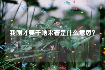 我刚才要干啥来着是什么意思？
