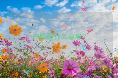 白嫖是什么意思？