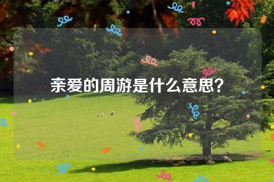 亲爱的周游是什么意思？