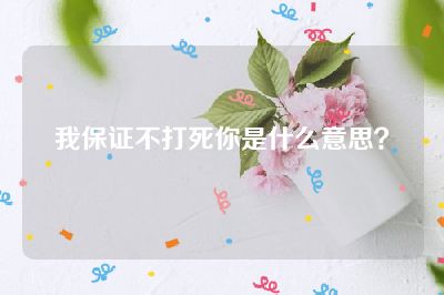 我保证不打死你是什么意思？