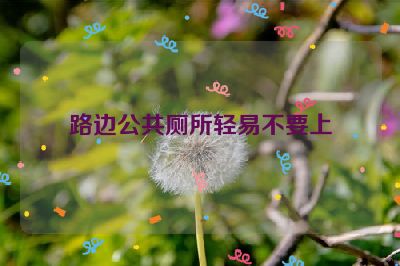 路边公共厕所轻易不要上
