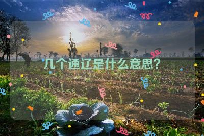 几个通辽是什么意思？