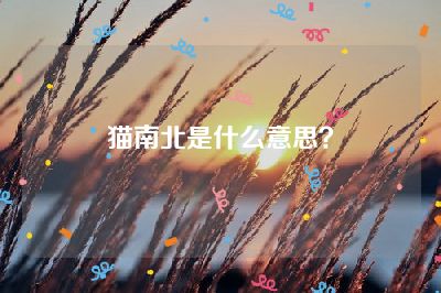 猫南北是什么意思？