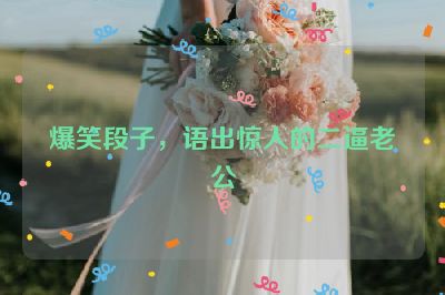 爆笑段子，语出惊人的二逼老公