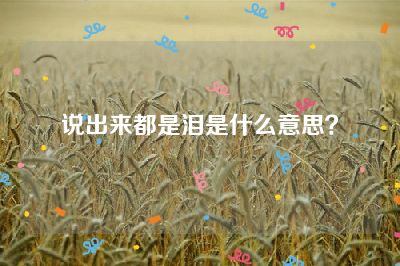 说出来都是泪是什么意思？