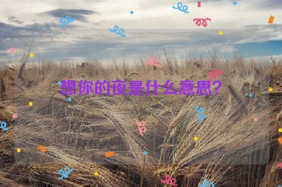 想你的夜是什么意思？