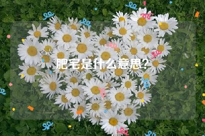 肥宅是什么意思？