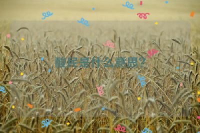 酸民是什么意思？