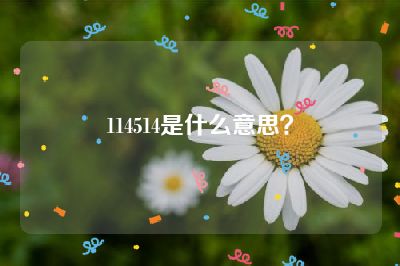 114514是什么意思？