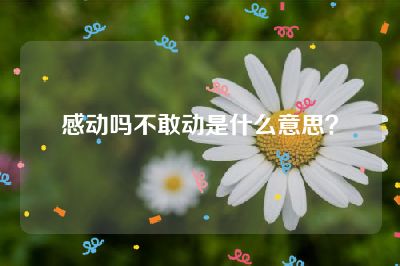 感动吗不敢动是什么意思？