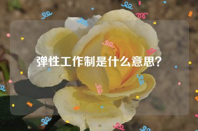 弹性工作制是什么意思？