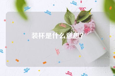 装杯是什么意思？