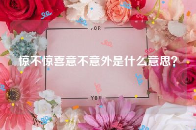 惊不惊喜意不意外是什么意思？