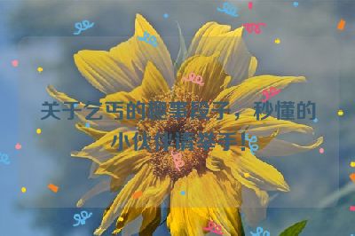 关于乞丐的趣事段子，秒懂的小伙伴请举手！