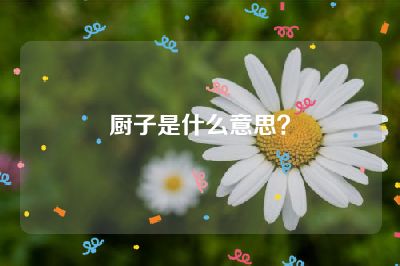 厨子是什么意思？