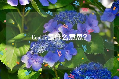 Cookie是什么意思？