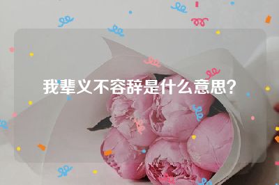 我辈义不容辞是什么意思？