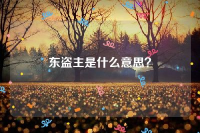 东盗主是什么意思？