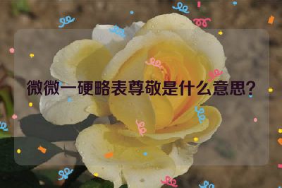 微微一硬略表尊敬是什么意思？