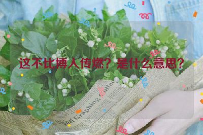 这不比博人传燃？是什么意思？