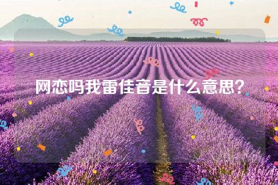网恋吗我雷佳音是什么意思？