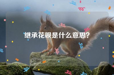 继承花呗是什么意思？