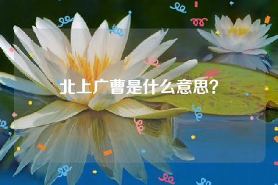 北上广曹是什么意思？