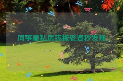 同事藏私房钱被老婆秒发现