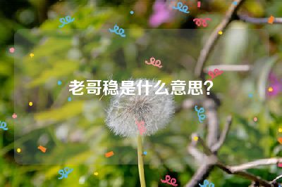 老哥稳是什么意思？
