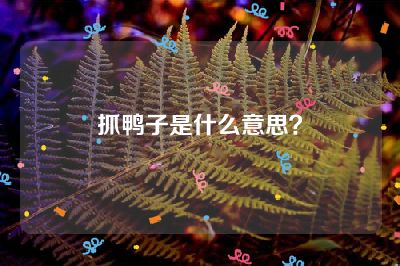 抓鸭子是什么意思？