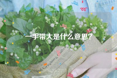 一手带大是什么意思？