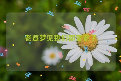 老婆梦见我们都变老了