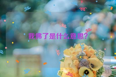 我佛了是什么意思？