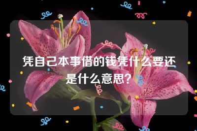 凭自己本事借的钱凭什么要还是什么意思？