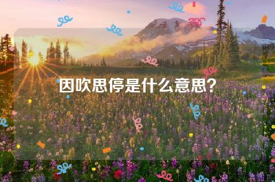 因吹思停是什么意思？